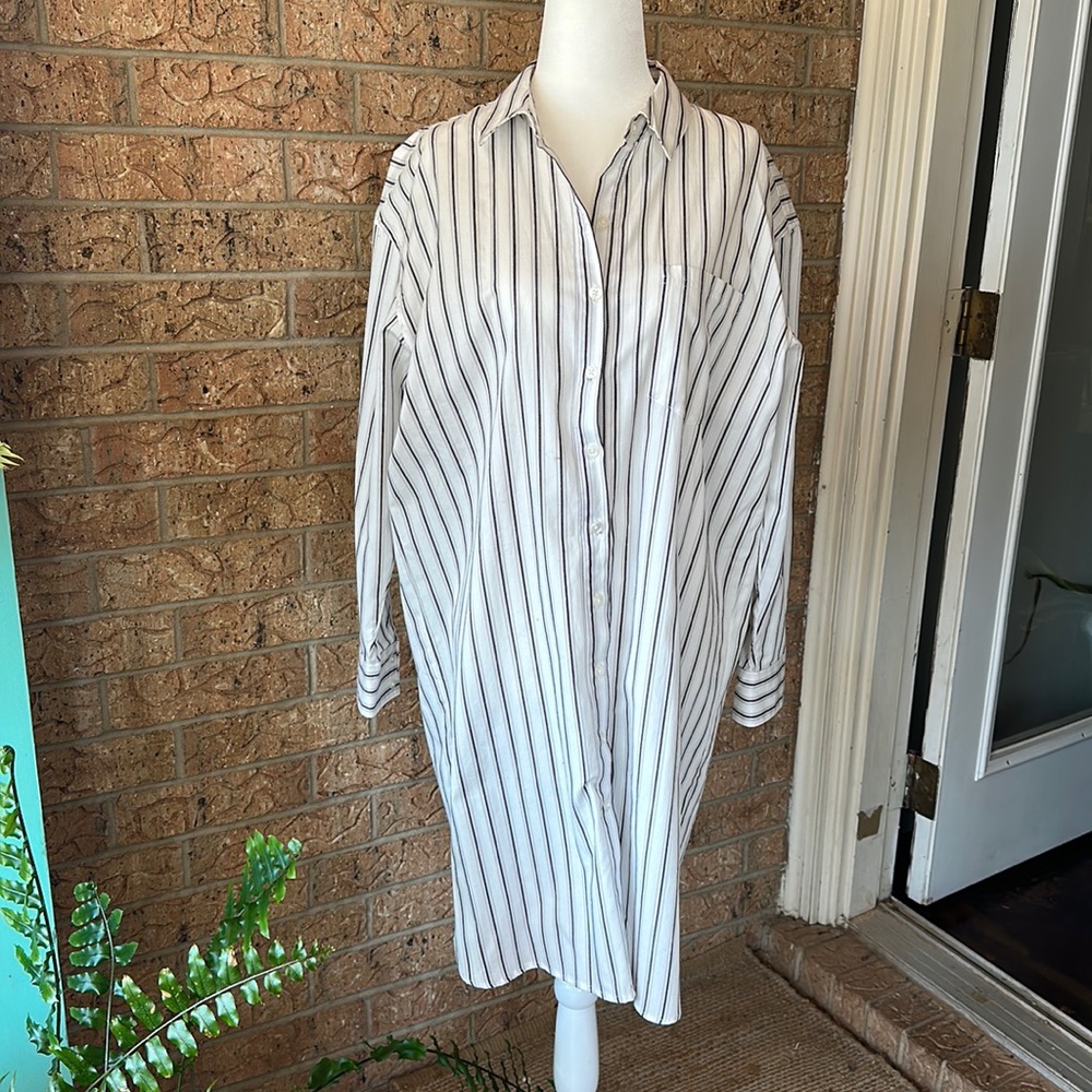 Banana Republic Shirt Dress